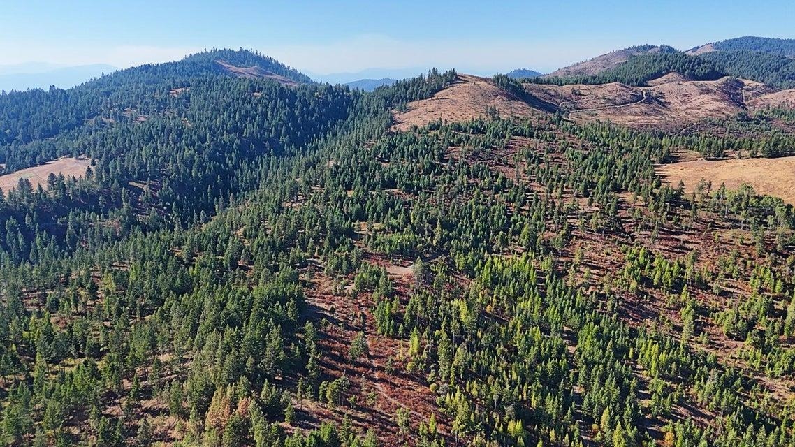 25-xx Burgess Road Addy, WA 99101 - Photo 14 of 26