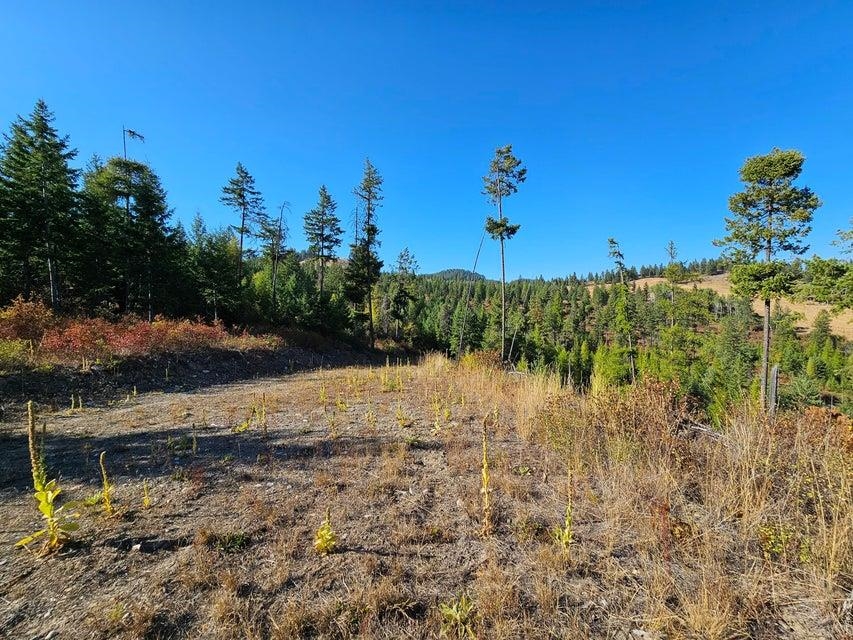 25-xx Burgess Road Addy, WA 99101 - Photo 16 of 26