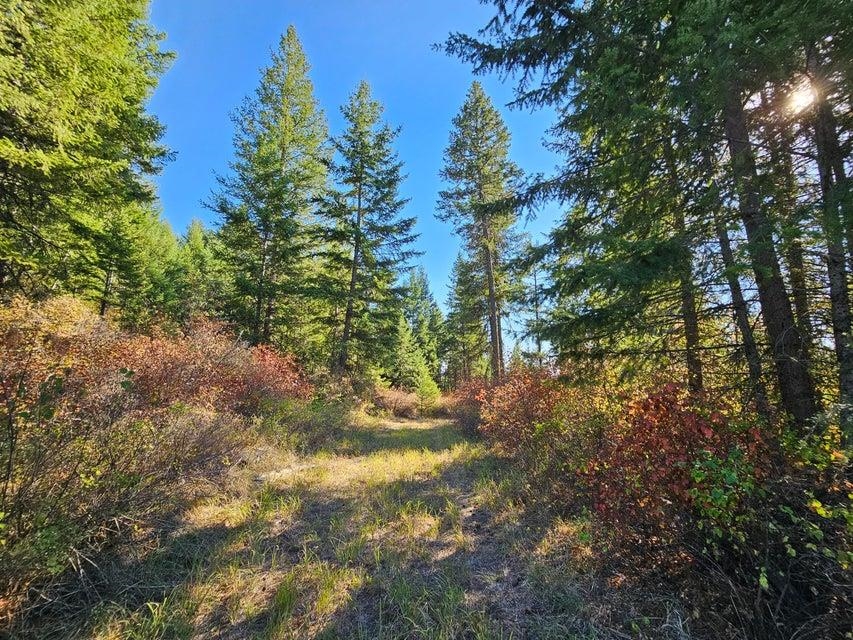 25-xx Burgess Road Addy, WA 99101 - Photo 22 of 26