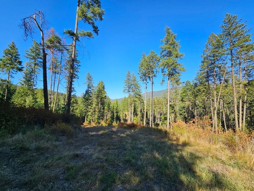 25-xx Burgess Road Addy, WA 99101 - Photo 23 of 26