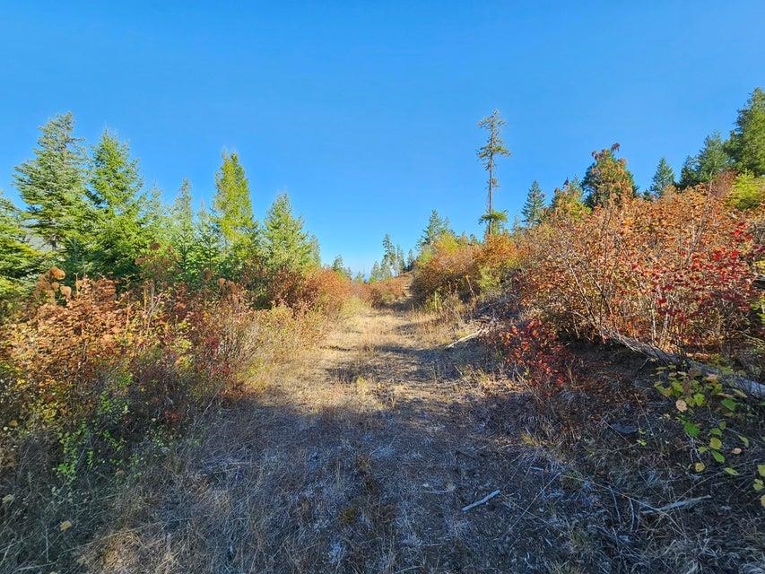 25-xx Burgess Road Addy, WA 99101 - Photo 24 of 26