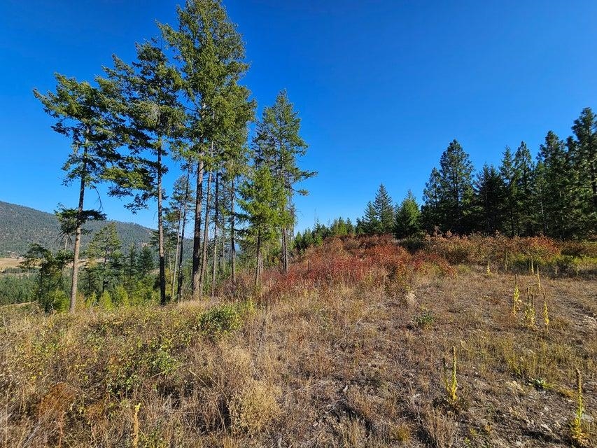 25-xx Burgess Road Addy, WA 99101 - Photo 25 of 26