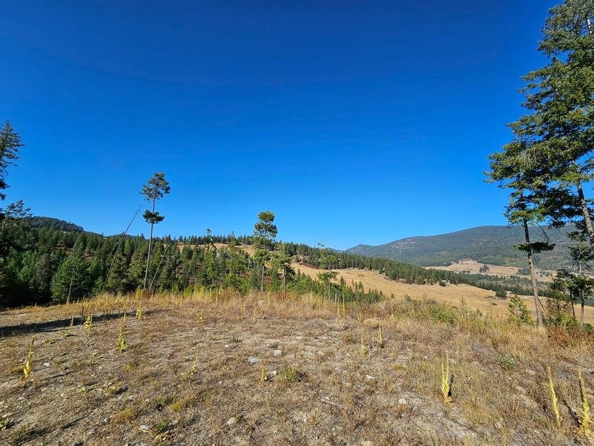 25-xx Burgess Road Addy, WA 99101 - Photo 26 of 26