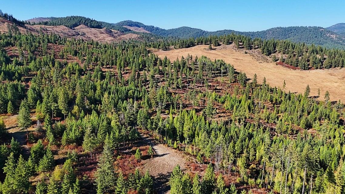 25-xx Burgess Road Addy, WA 99101 - Photo 4 of 26