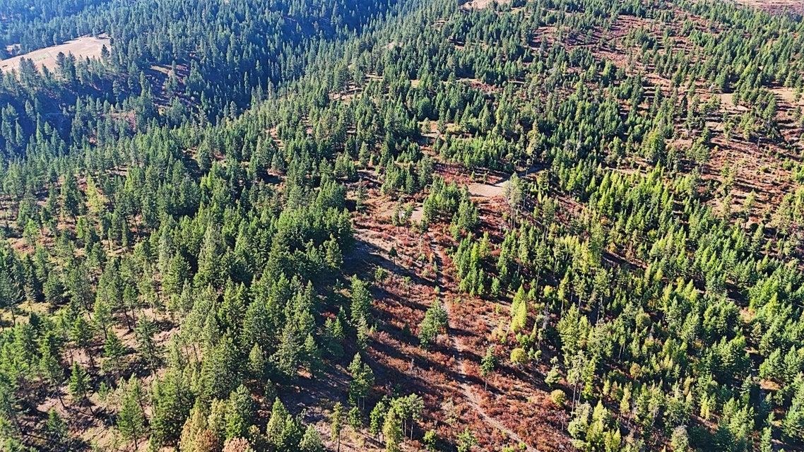 25-xx Burgess Road Addy, WA 99101 - Photo 7 of 26