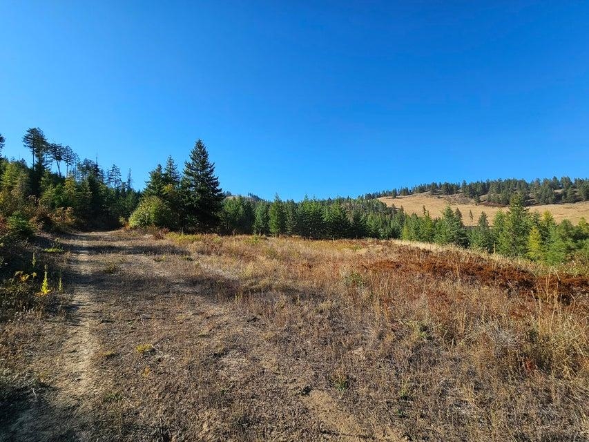 25-xx Burgess Road Addy, WA 99101 - Photo 8 of 26