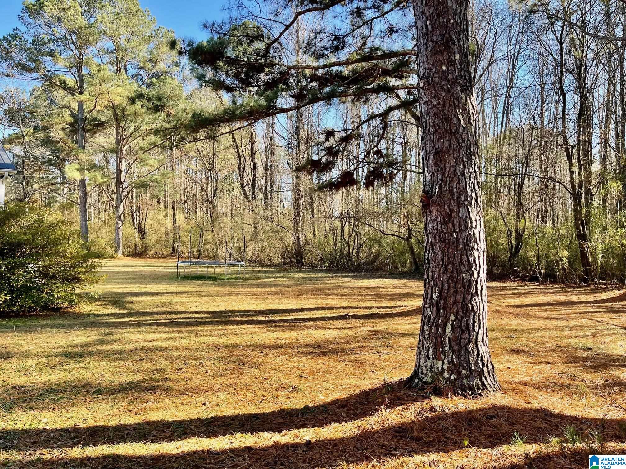 1015 St Clair Road Moody, AL 35004 - Photo 3 of 20