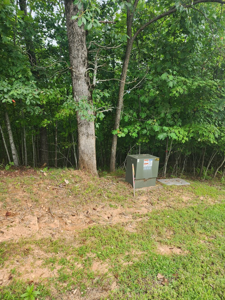 0 Vance Mountain Road Murphy, NC 28906 - Photo 5 of 15 Front Right Corner