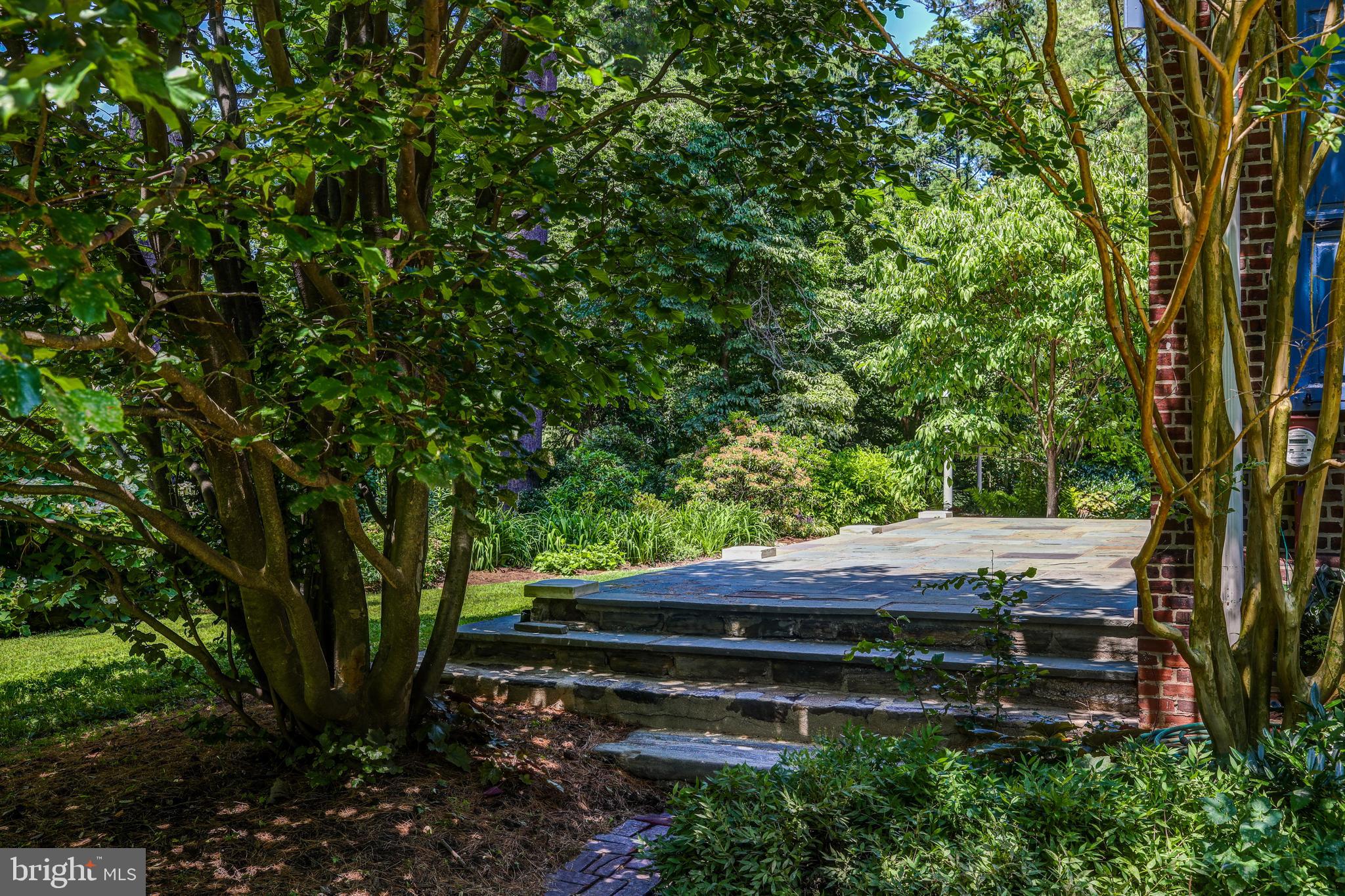 8219 St Martins Lane Philadelphia, PA 19118 - Photo 37 of 40