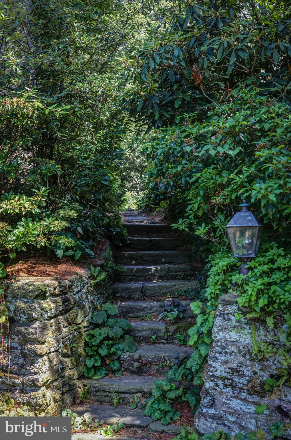 8219 St Martins Lane Philadelphia, PA 19118 - Photo 38 of 40