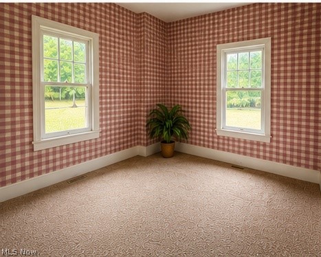 5278 River Road Madison, OH 44057 - Photo 31 of 33 Gallery Image 31