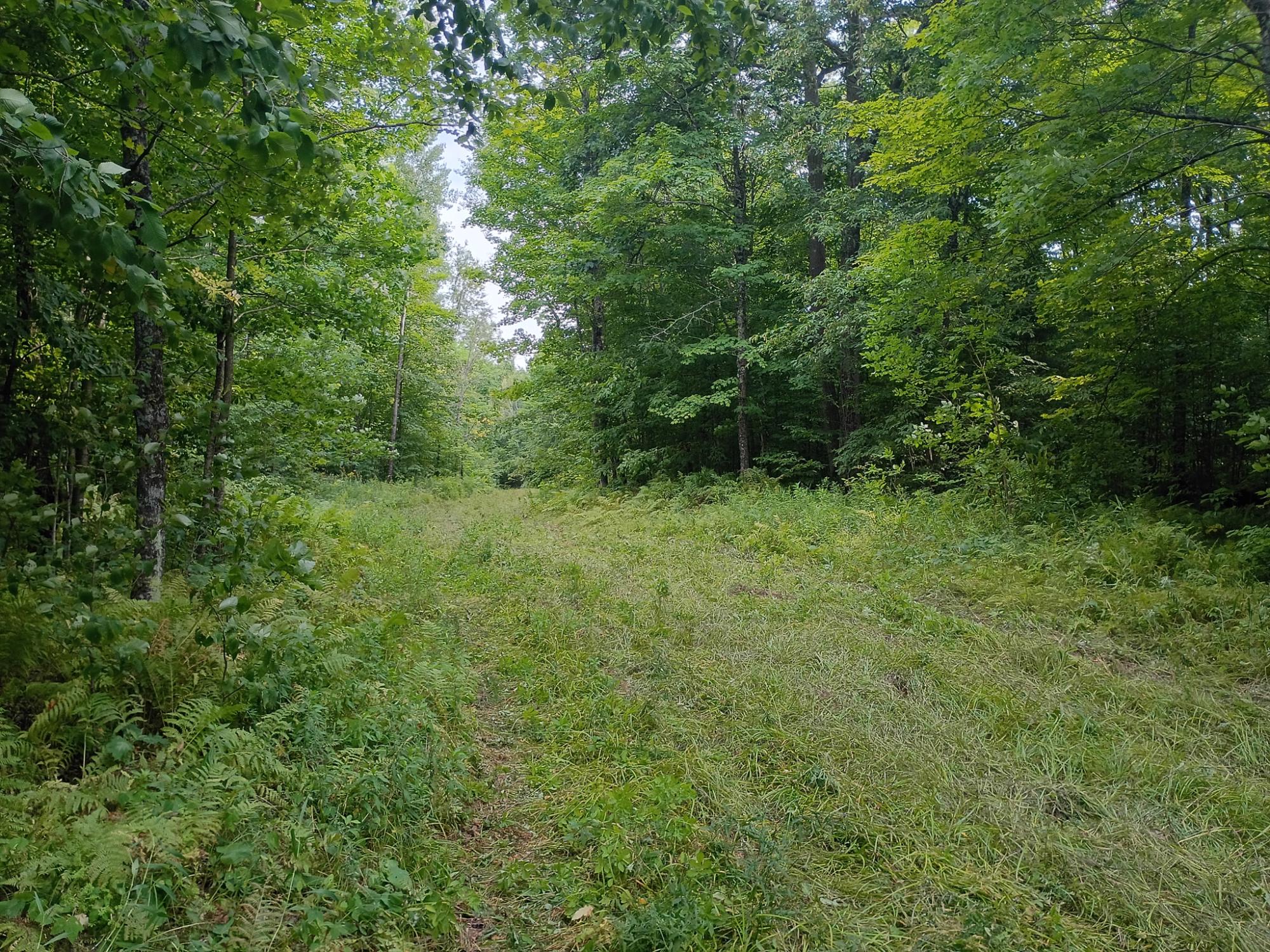 280-ac West Road Butternut, WI 54514 - Photo 30 of 33 Gallery Image 30