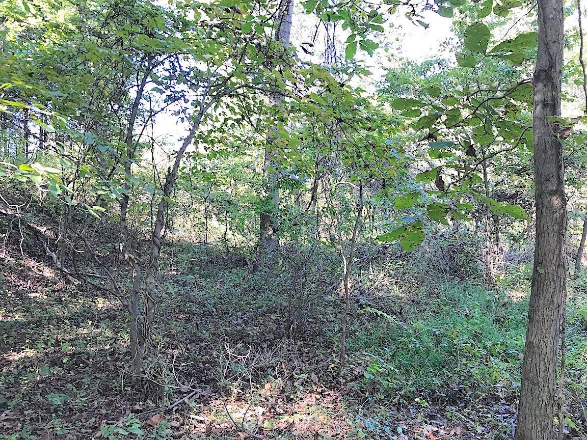 3167 Garners Ford Road Thurman, OH 45685 - Photo 15 of 25