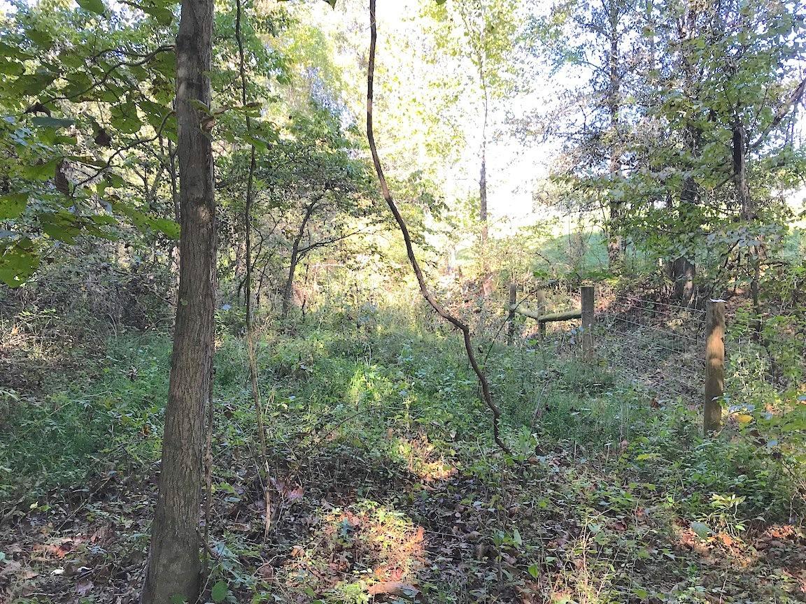 3167 Garners Ford Road Thurman, OH 45685 - Photo 16 of 25