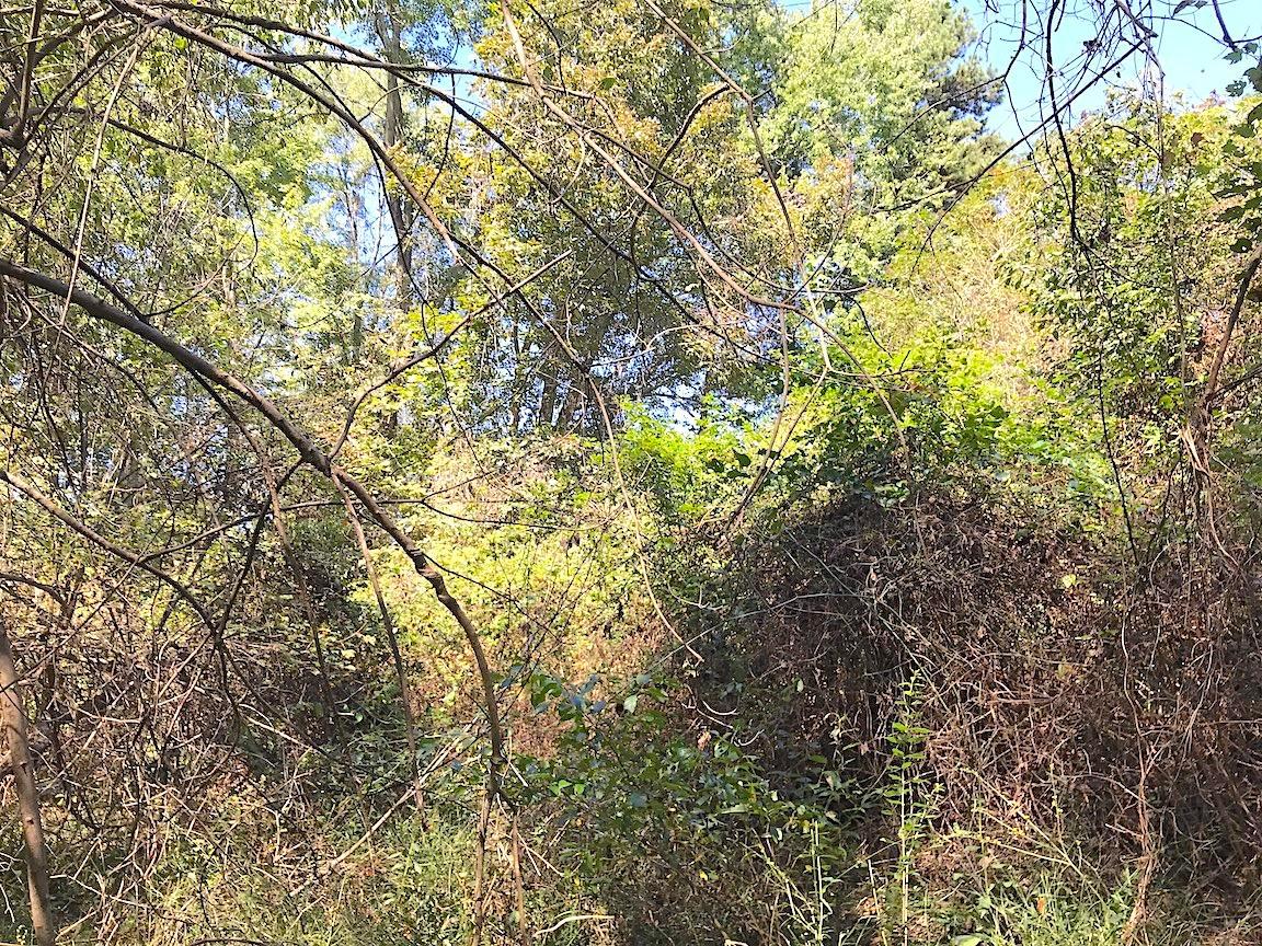 3167 Garners Ford Road Thurman, OH 45685 - Photo 18 of 25