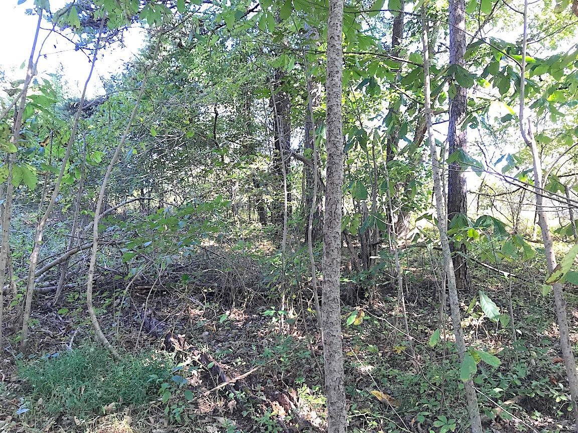 3167 Garners Ford Road Thurman, OH 45685 - Photo 19 of 25