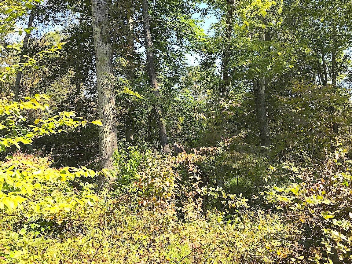 3167 Garners Ford Road Thurman, OH 45685 - Photo 9 of 25