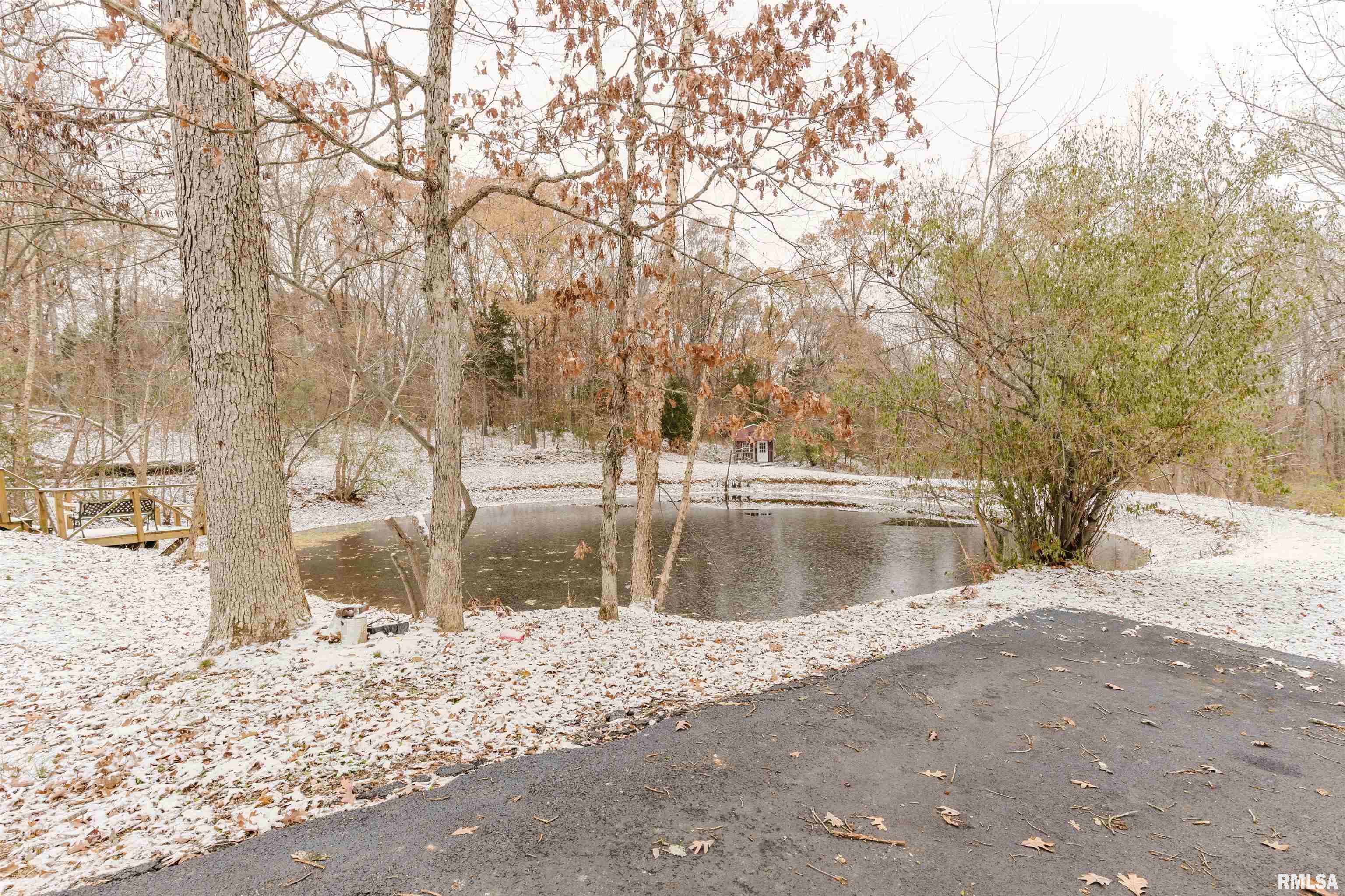 16995 Malone Road Thompsonville, IL 62890 - Photo 32 of 43