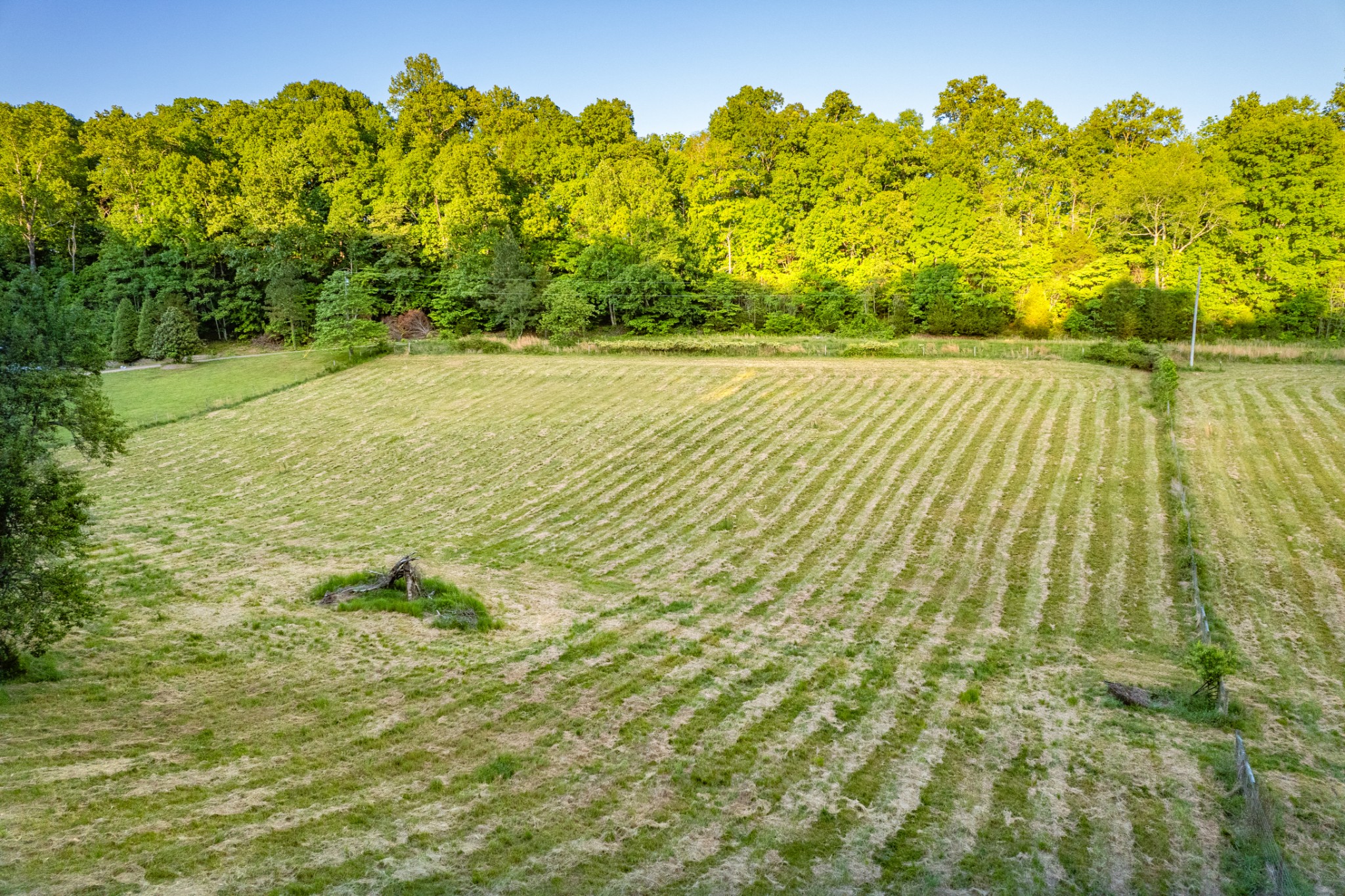 6 Young Road Pulaski, TN 38478 - Photo 19 of 20
