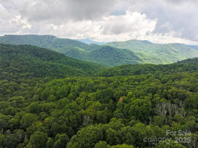 $149,000 | 9.83-acres Juniper Road, Unit 23, Hot Springs, NC 28743