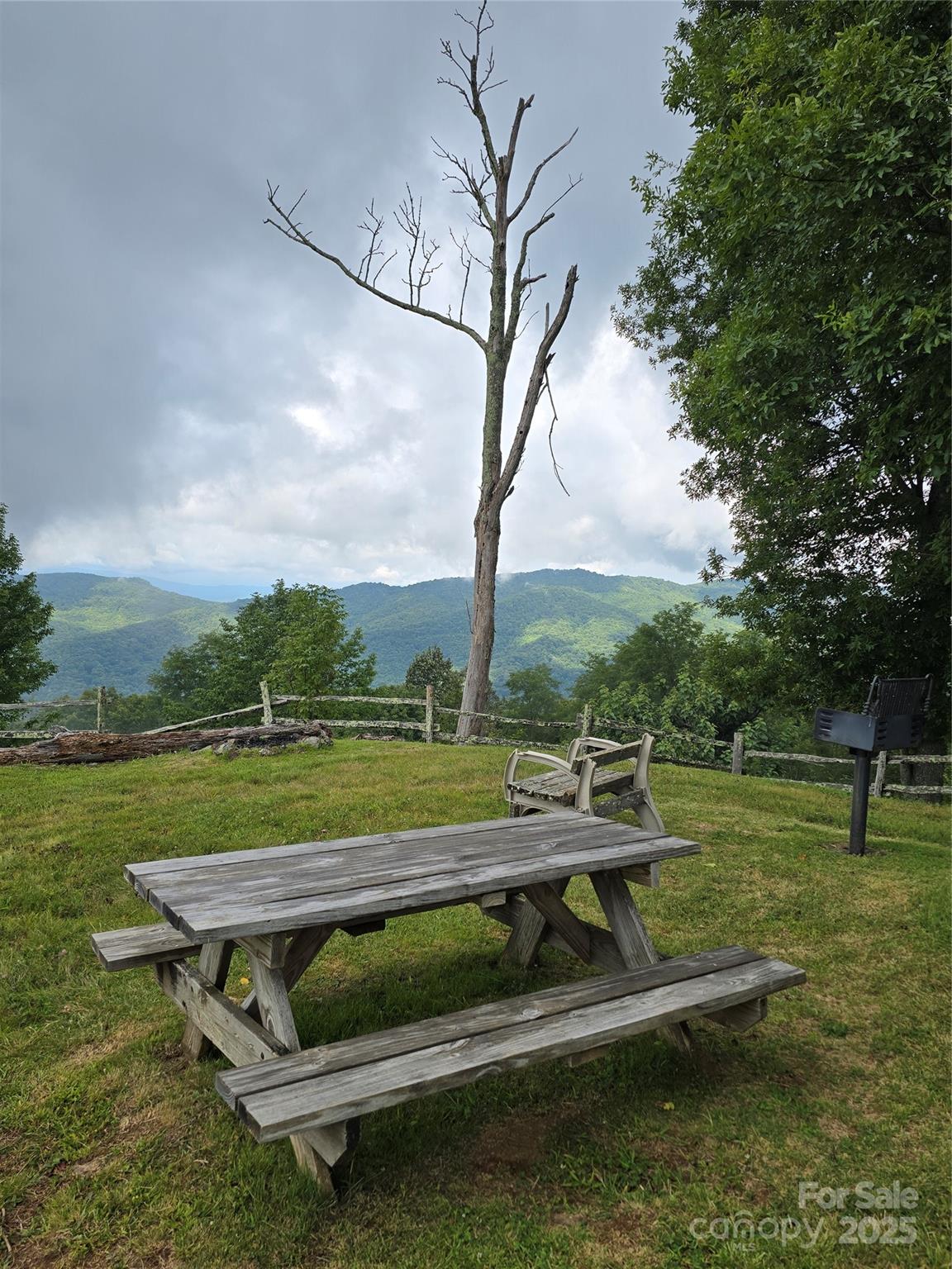 9.83-acres Juniper Road, Unit 23 Hot Springs, NC 28743 - Photo 12 of 24