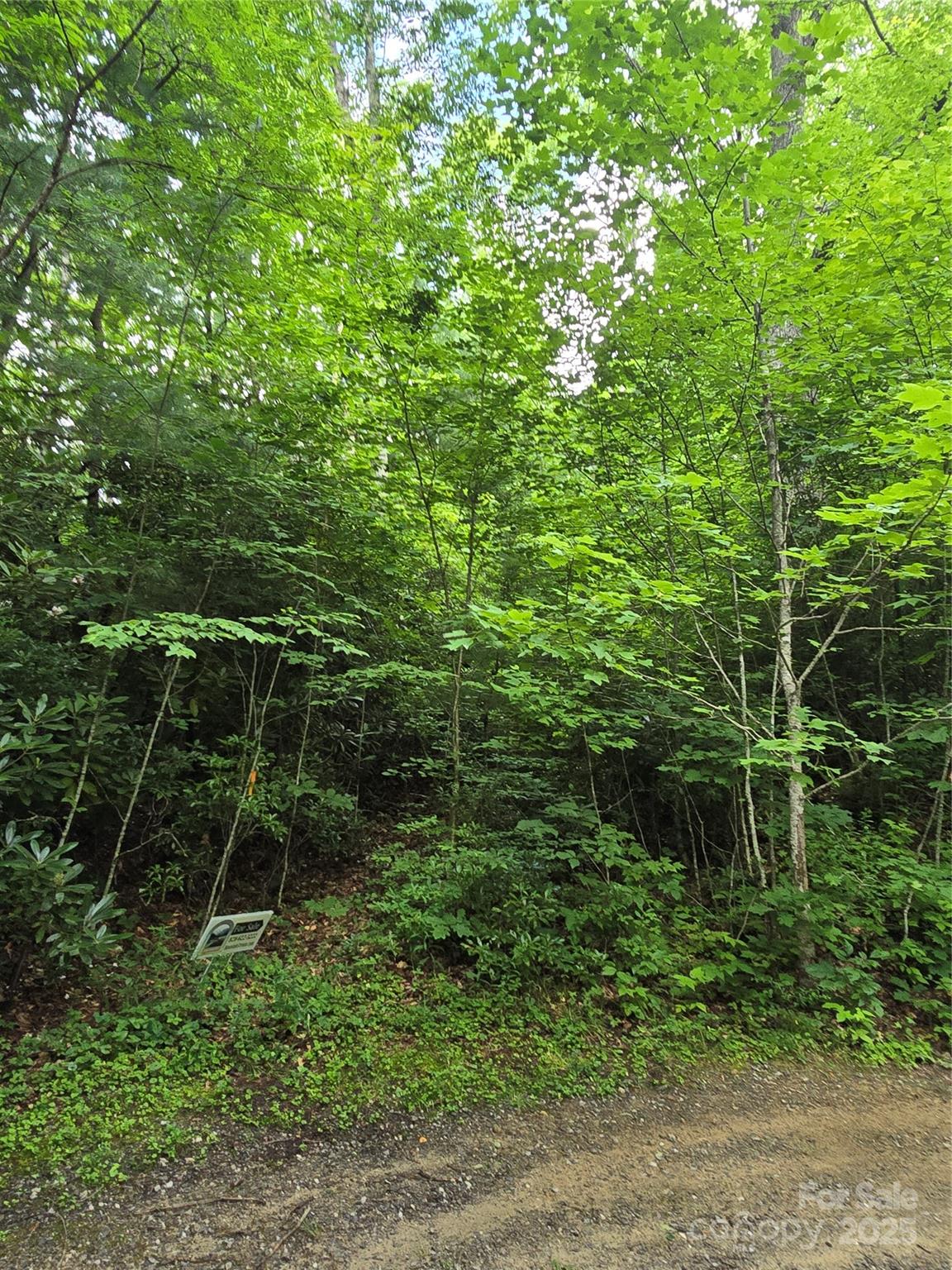 9.83-acres Juniper Road, Unit 23 Hot Springs, NC 28743 - Photo 13 of 24