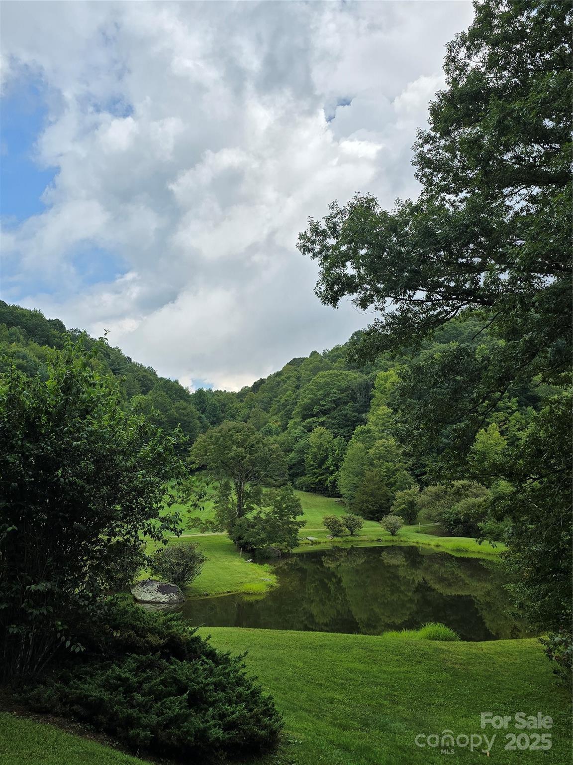 9.83-acres Juniper Road, Unit 23 Hot Springs, NC 28743 - Photo 18 of 24