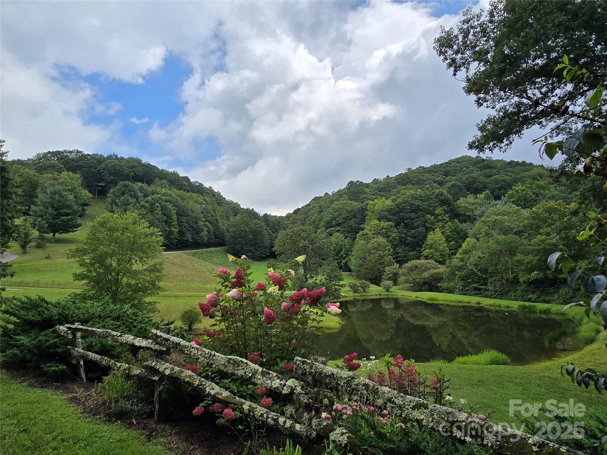 9.83-acres Juniper Road, Unit 23 Hot Springs, NC 28743 - Photo 19 of 24