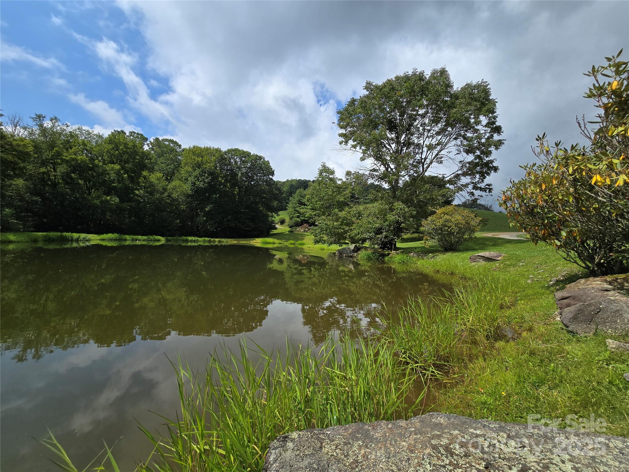 9.83-acres Juniper Road, Unit 23 Hot Springs, NC 28743 - Photo 20 of 24