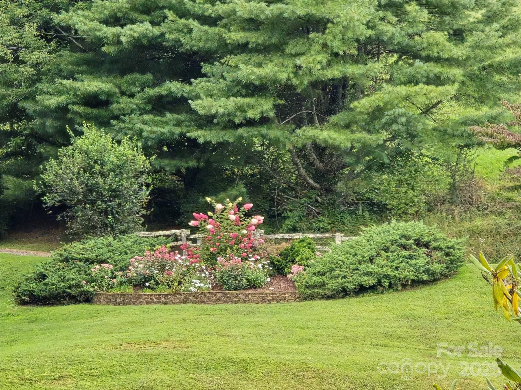 9.83-acres Juniper Road, Unit 23 Hot Springs, NC 28743 - Photo 21 of 24