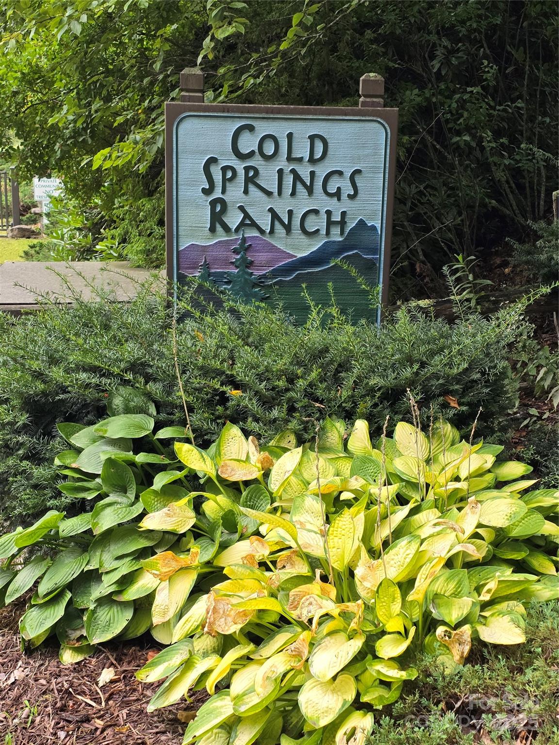 9.83-acres Juniper Road, Unit 23 Hot Springs, NC 28743 - Photo 24 of 24