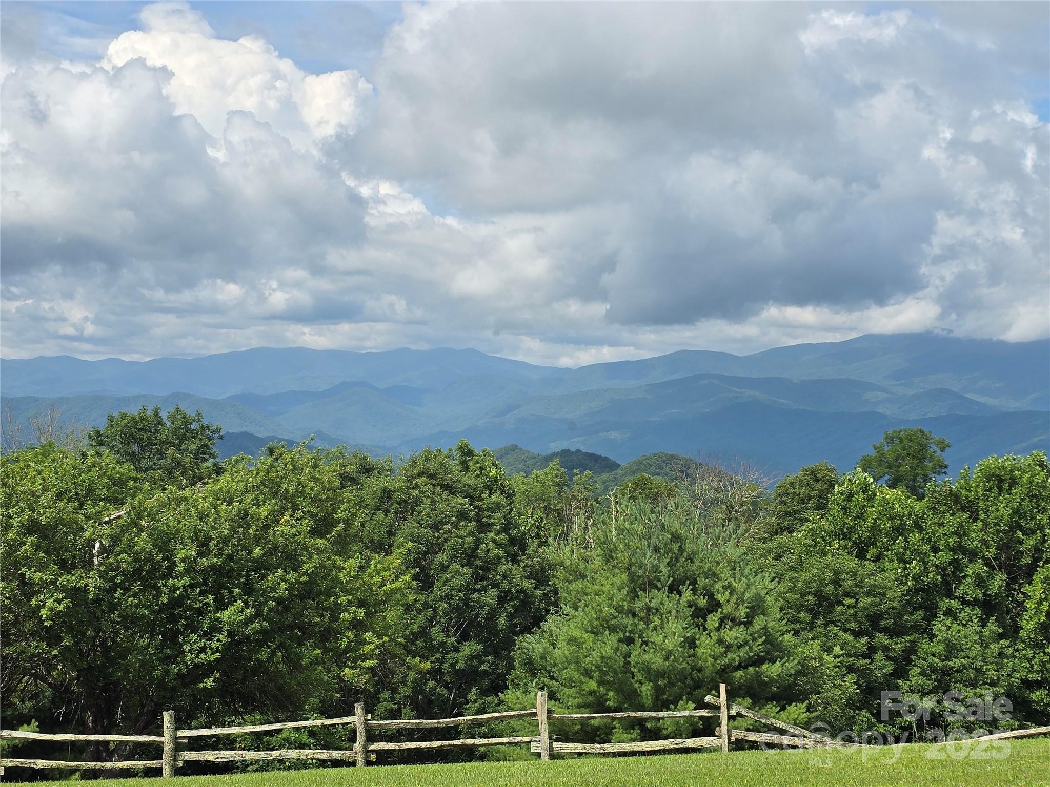 9.83-acres Juniper Road, Unit 23 Hot Springs, NC 28743 - Photo 4 of 24