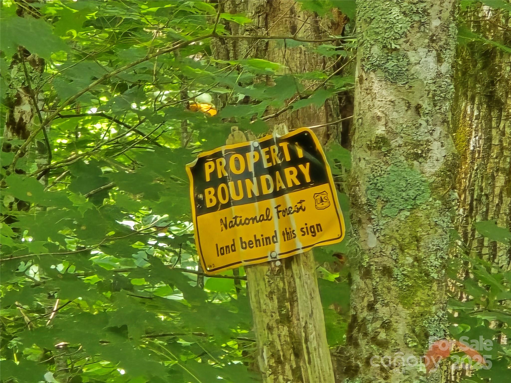 9.83-acres Juniper Road, Unit 23 Hot Springs, NC 28743 - Photo 6 of 24