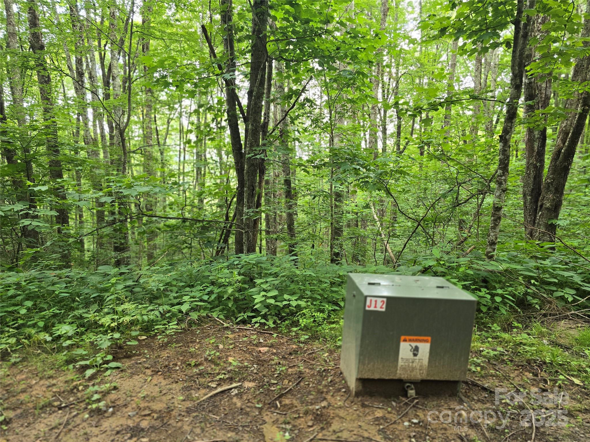 9.83-acres Juniper Road, Unit 23 Hot Springs, NC 28743 - Photo 8 of 24