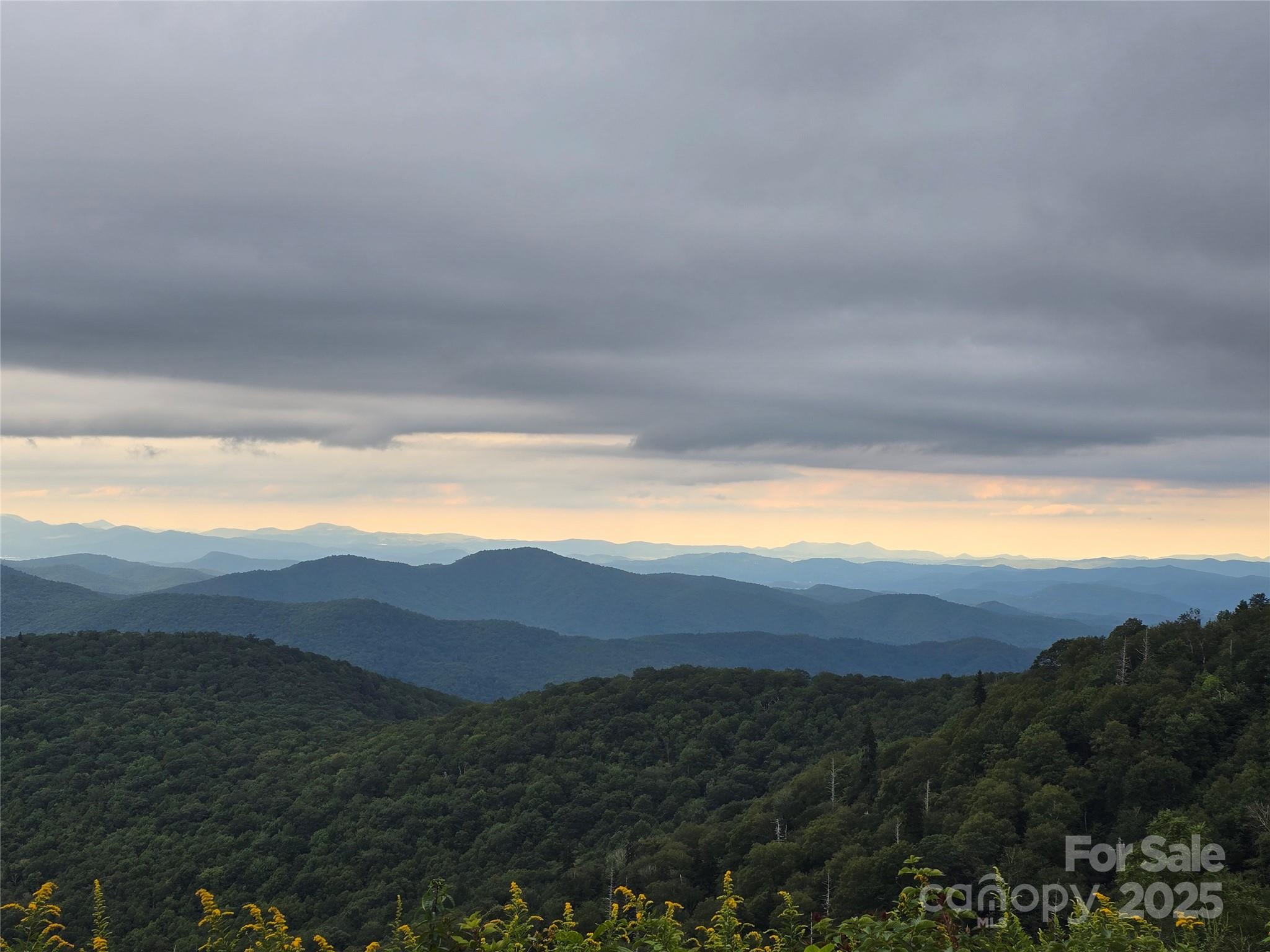 9.83-acres Juniper Road, Unit 23 Hot Springs, NC 28743 - Photo 10 of 24