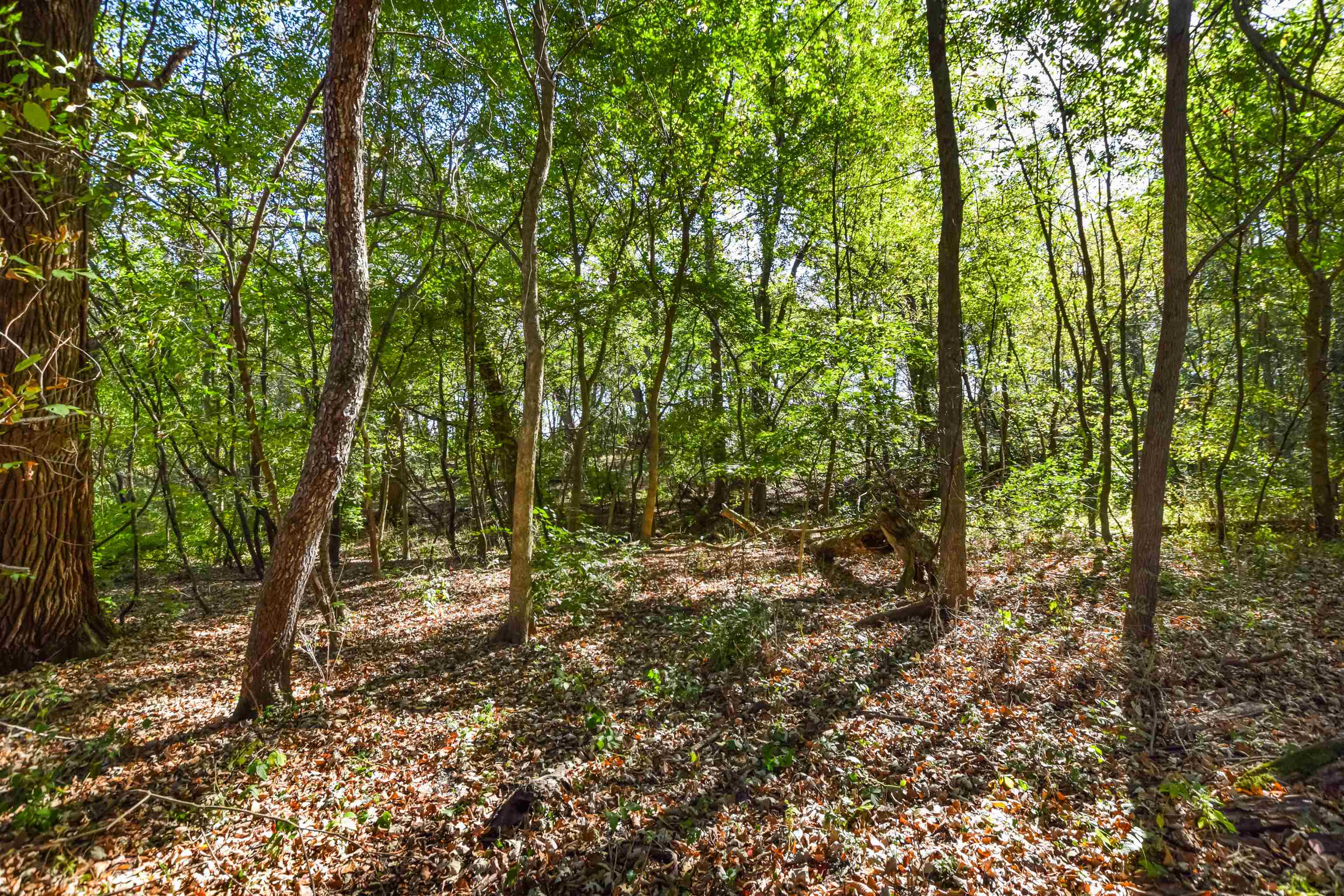 Lot 6 Dividing Ridge Monticello, WI 53570 - Photo 13 of 14 Gallery Image 13
