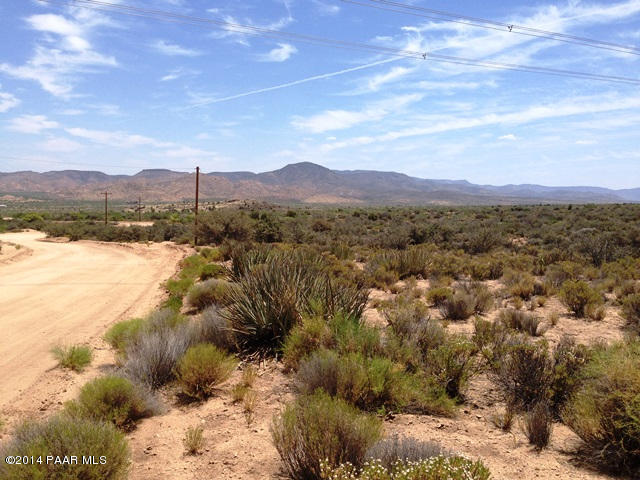29 Spring Valley Road Hackberry, AZ 86411 - Photo 4 of 4 a view of lake with mountain