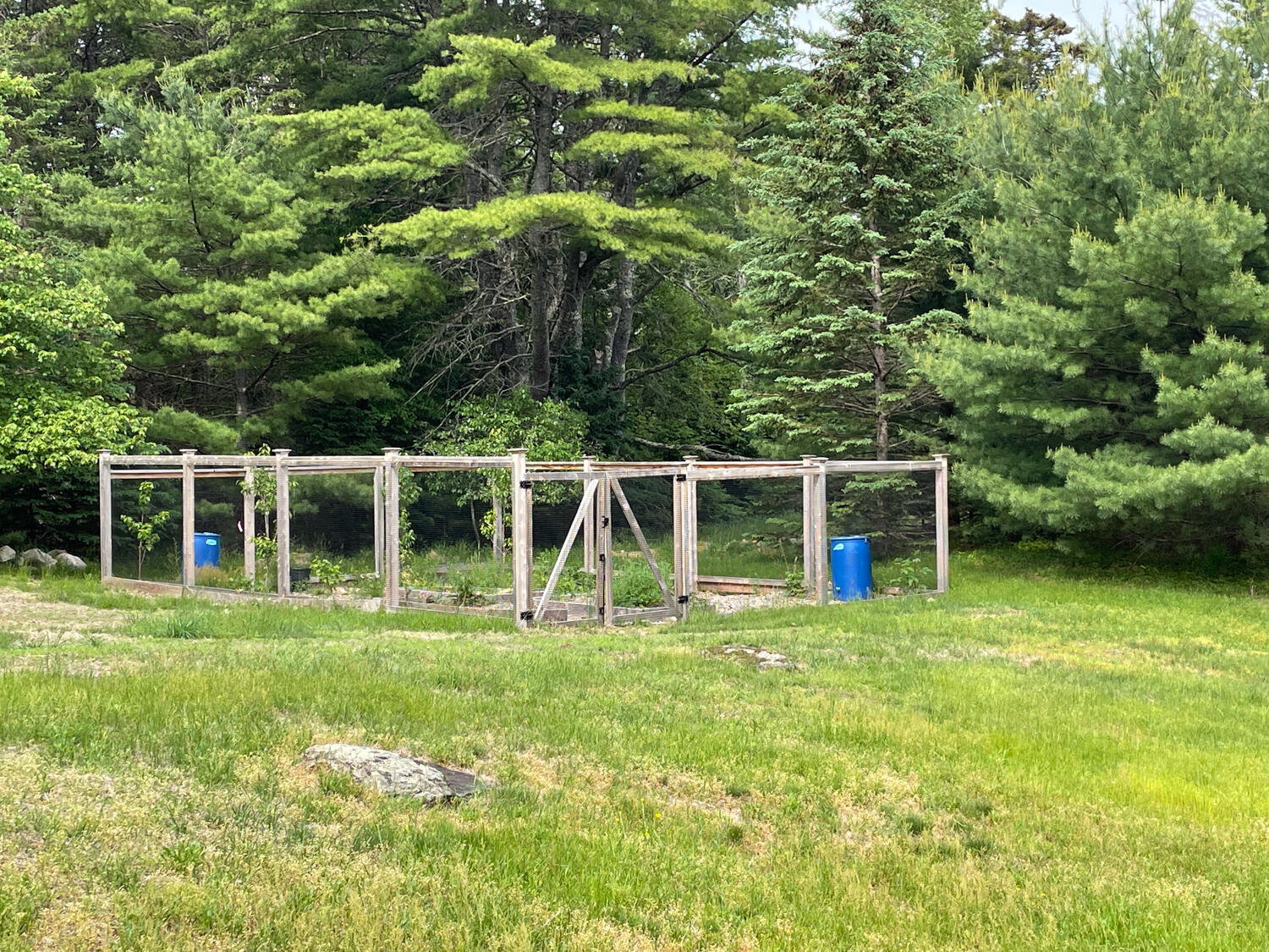 99 Whitney Farm Road Mount Desert, ME 04660 - Photo 8 of 29 close garden