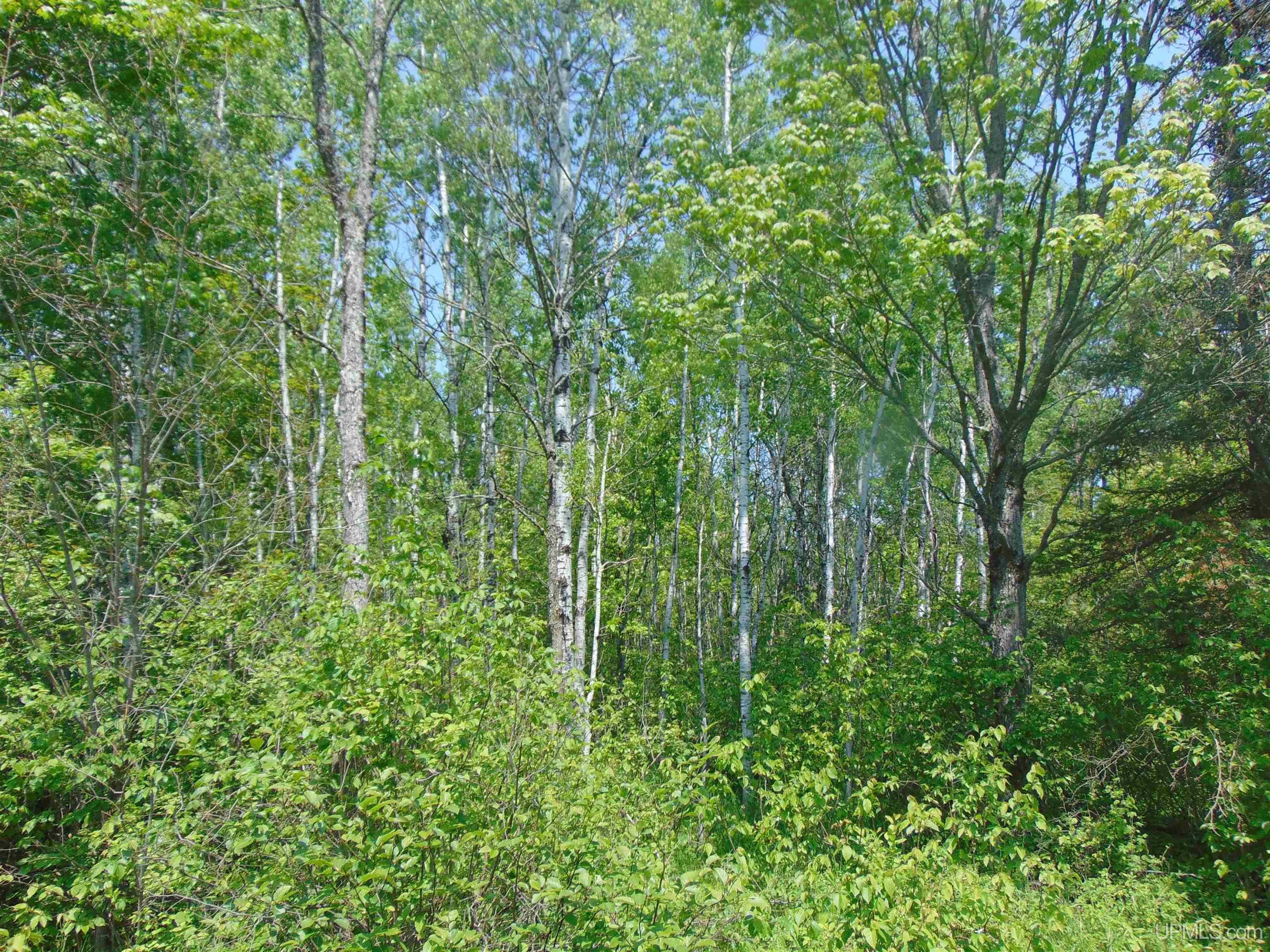 1 Larson Road Bruce Crossing, MI 49912 - Photo 23 of 34