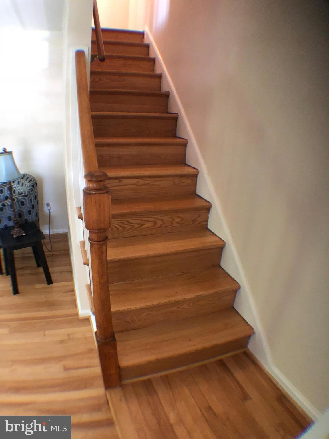 5933 Williamsburg Road Alexandria, VA 22303 - Photo 17 of 30 Interior (General)