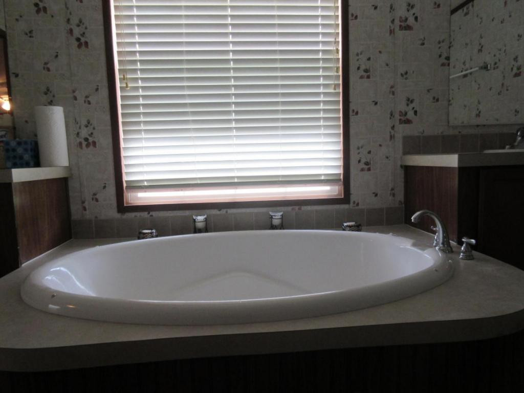 1855 Corby Bridge Road Chuckey, TN 37641 - Photo 11 of 18 Master Bath Tub