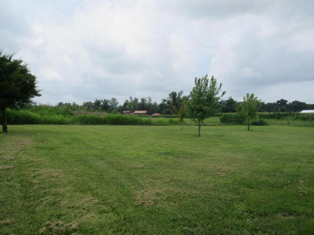 1855 Corby Bridge Road Chuckey, TN 37641 - Photo 17 of 18 Back Yard view