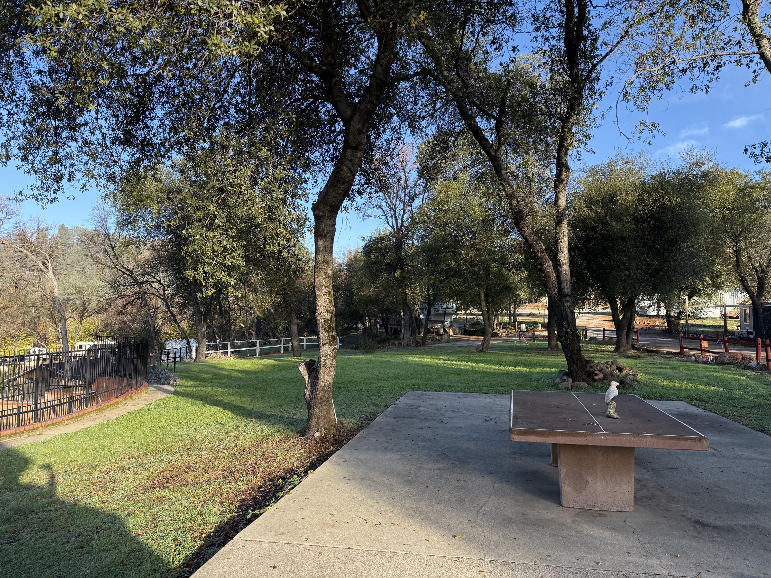 14216 Bear Mountain Road, Unit 48 Redding, CA 96003 - Photo 12 of 17 a view of a park with large trees