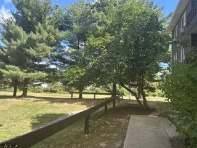 a view of yard with trees