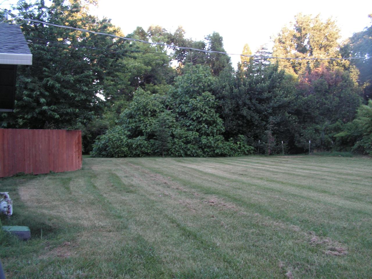 5757 Bell Road Redding, CA 96001 - Photo 2 of 16 a view of a backyard