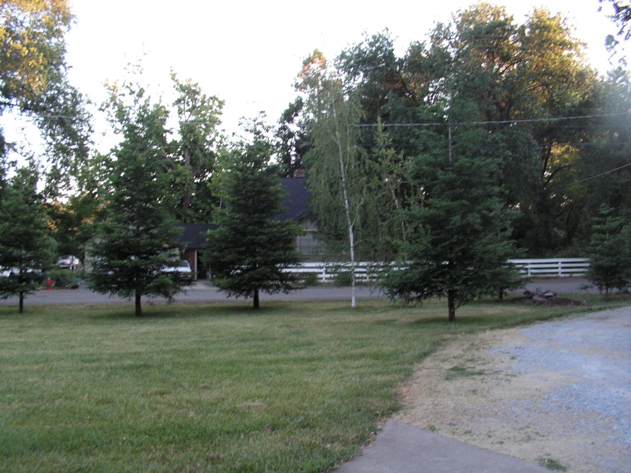 5757 Bell Road Redding, CA 96001 - Photo 3 of 16 a view of a park with large trees