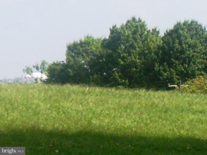 2462 Nevada Street Baltimore, MD 21230 - Photo 18 of 22 a view of a garden