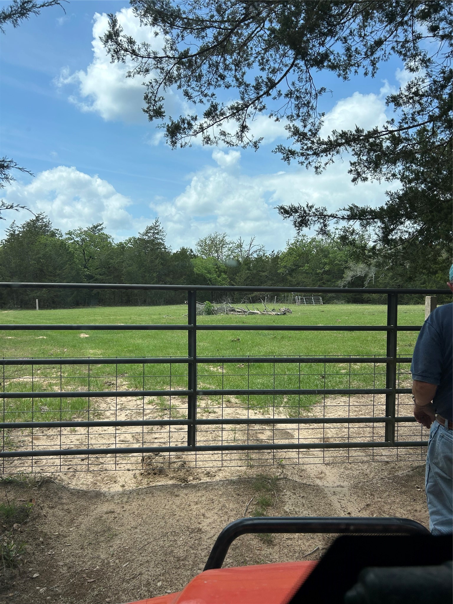 32-acres Dunlavy Road Cat Spring, TX 78933 - Photo 10 of 18