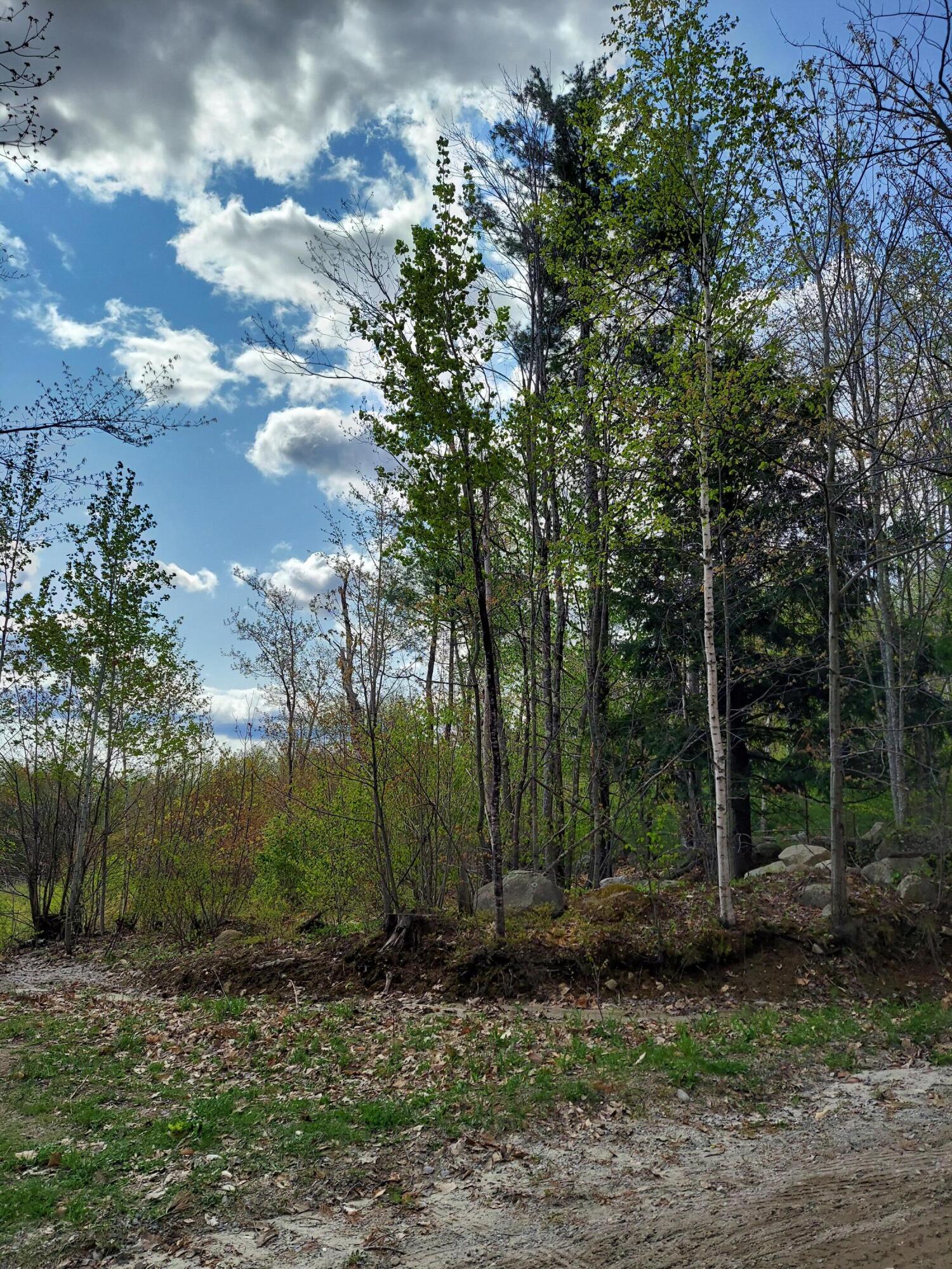 0 South Town Farm Road Oxford, ME 04270 - Photo 2 of 5 DC3
