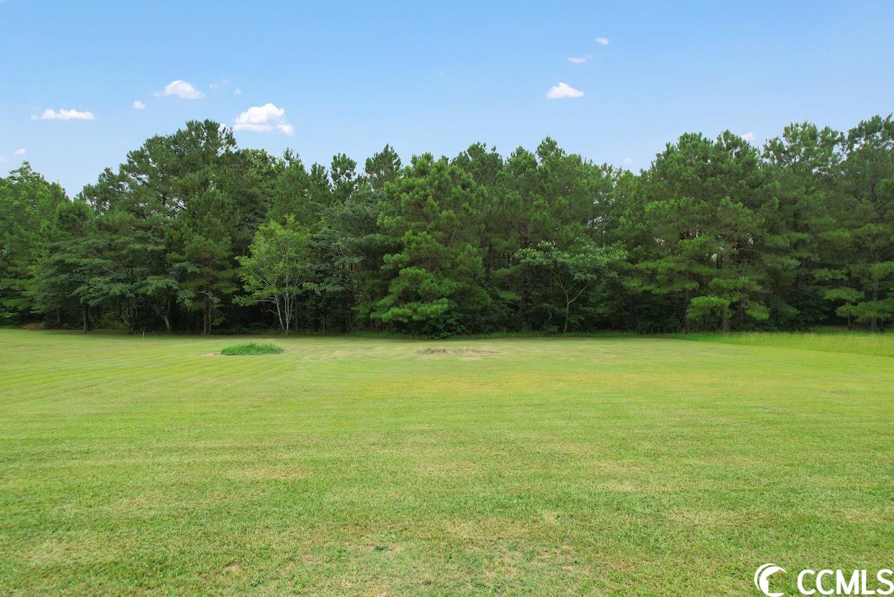 940 Knotty Branch Road Conway, SC 29527 - Photo 33 of 40 Gallery Image 33